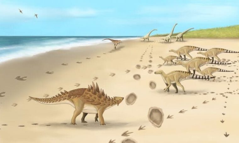 Footprints of six dinosaur species discovered in Britain