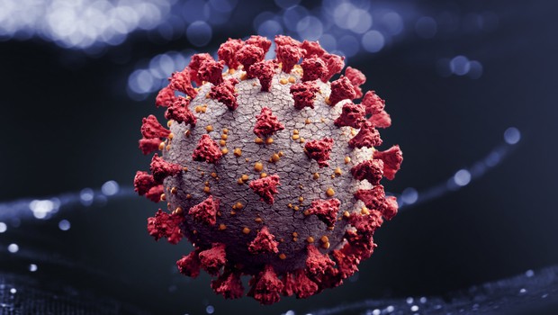 Coronavirus (Photo: Getty Images)