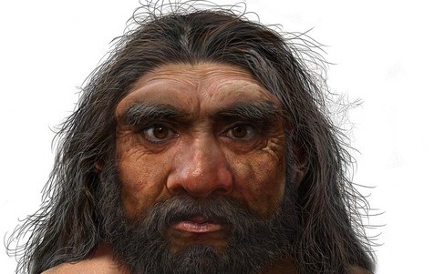 Homo longi or 'Dragon Man' lived about 146,000 years ago (Photo: Publicity)