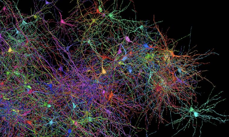 Scientists launch interactive map of human brain that allows 'travel' through organ - 06/08/2021 - Science