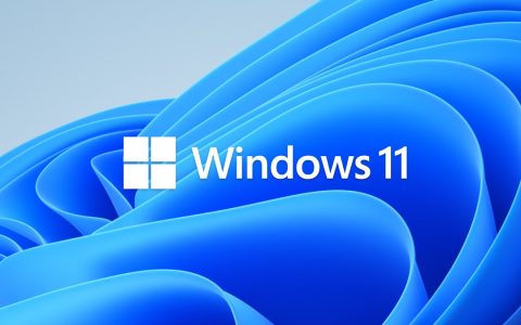 Windows 11 Preview!  Microsoft released the first version download (22000.51)