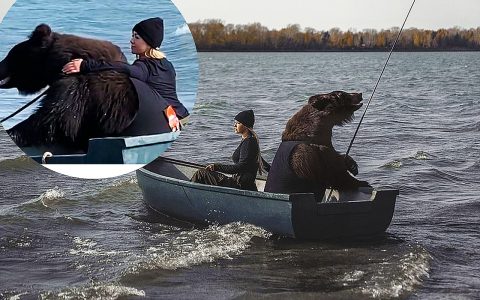 Giant bear is filmed fishing on a boat with a roller coaster and impacts the web
