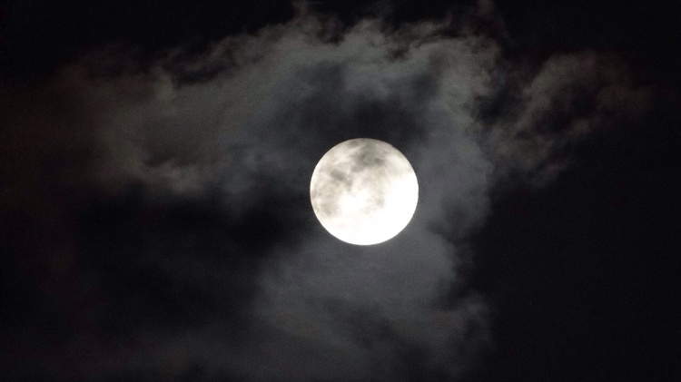 Image of a full moon at an event that will take place this month - via Midori Endo/WhatsApp - via Midori Endo/WhatsApp