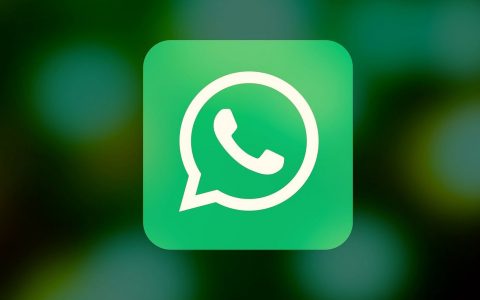 How to Download WhatsApp Beta on Mobile (Android and iOS)