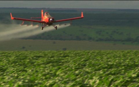 Biden bans pesticides for use in children linked to neurological damage  agribusiness