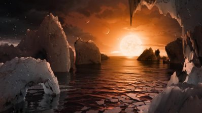 The existence of life on seven newly discovered planets