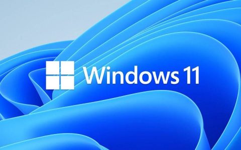 Easily Download Windows 11 to Your Computer, Find Out How