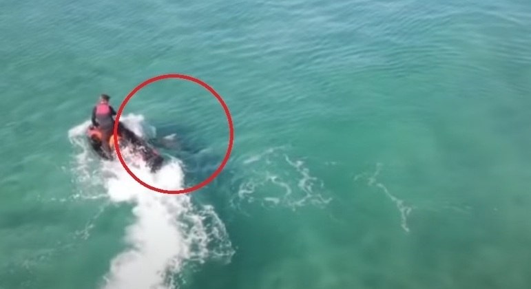 In Australia, a jetski pilot is attacked by a 3-meter shark (Photo: Playback/YouTube)
