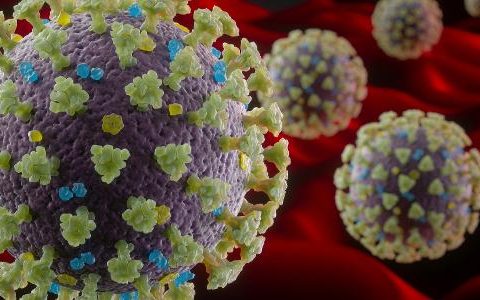 South Africa discovers new type of coronavirus and studies mutation