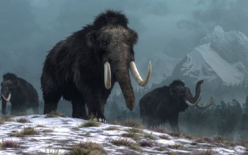 Is it possible to 'revive' mammoths to fight climate change?  - business season