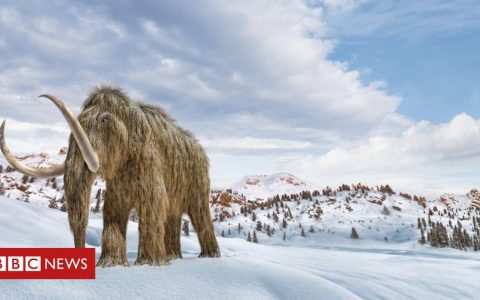 Is it possible to 'revive' mammoths to fight climate change?