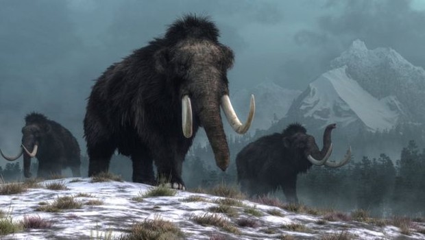 Mammoth (Photo: Illustration from Getty Images via BBC)