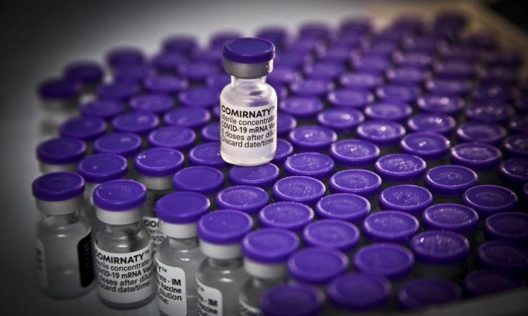 Pfizer will seek authorization to vaccinate children under 12 in a few days, says CEO