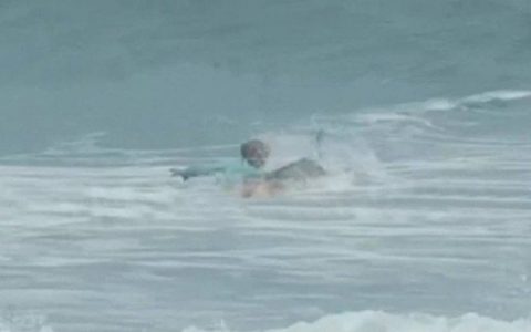Video: 16-year-old surfer attacked by shark in Florida - Prismo