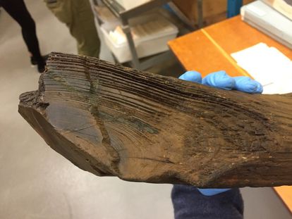 Wood samples from the Viking Archaeological Site were analyzed in which you can see both metal cuts and tree rings. 