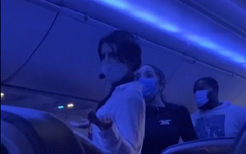 Woman is stopped in flight while using microphone to explain "true origin" of Covid