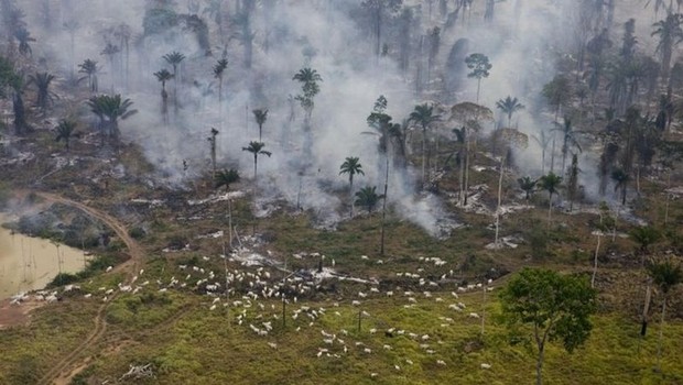 Agriculture and land management, including deforestation, are responsible for over 70% of emissions in Brazil (Photo: GRPS via BBC News Brasil)