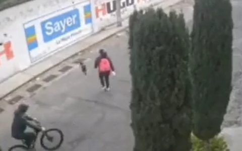 Camera caught woman brutally assaulted by pitbull after defending dog