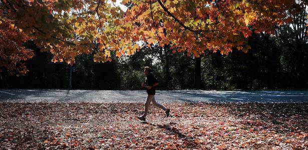 Climate change threatens color fall in North America