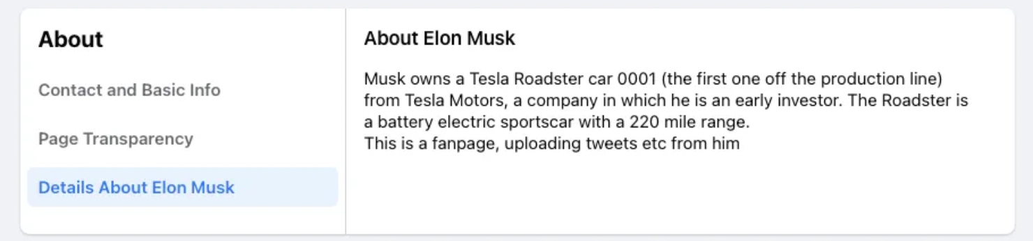 Description of Elon Musk's Facebook fan page.  (screenshot: The Verge)