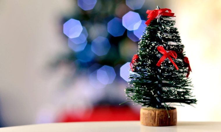 Check out 7 fun facts about Christmas you probably didn't know