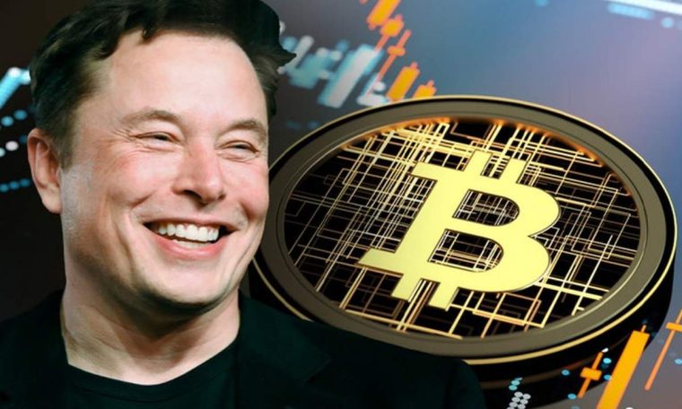 Elon Musk on Bitcoin Creator: Who Created Bitcoin?  Elon Muskani reveals the secret, name revealed - Marathi News |  Who created bitcoin?  Elon Musk reveals the secret name of Satoshi Nakamoto