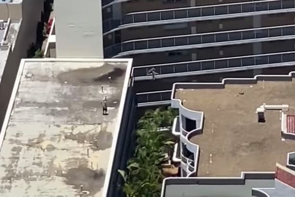 A person jumps 5 meters between buildings in Australia (Photo: Reproduction)