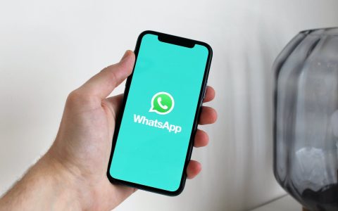 WhatsApp not working?  See how to fix this bug