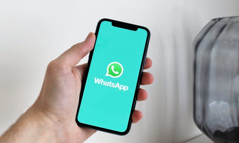 WhatsApp not working?  See how to fix this bug