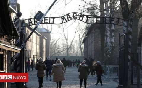 Turista é detida e multada após fazer saudação nazista em campo de concentração