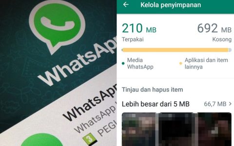 How to quickly clear WhatsApp cache on Android so that the phone doesn't slow down