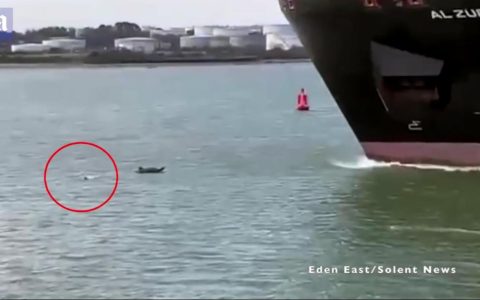 Man nearly 'swallowed' on giant cargo ship canoe in Britain;  watch video
