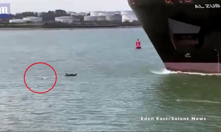 Man nearly 'swallowed' on giant cargo ship canoe in Britain;  watch video