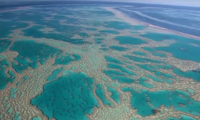 Australia invests €43 million to protect the Great Barrier Reef