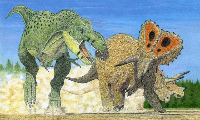 Study suggests Tyrannosaurus rex may have been three different species