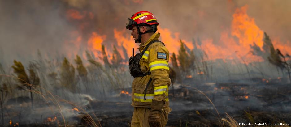 The Argentine government estimates that the recent fires caused approximately US$184 million in economic damage.