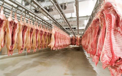 Pork exports hit 91,400 tonnes in March