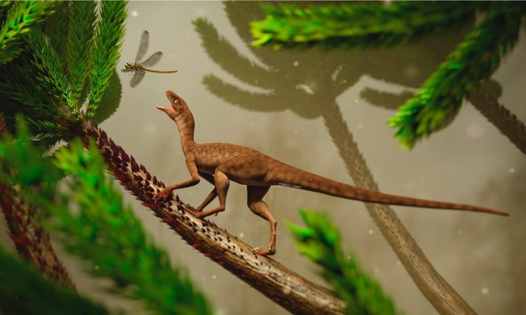 Brazilian researchers have identified a small 225-million-year-old reptile found in RS.  Rio Grande do Sule