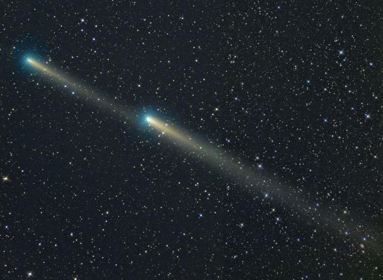 Comet 73p - Michael Jagger - Michael Jagger;