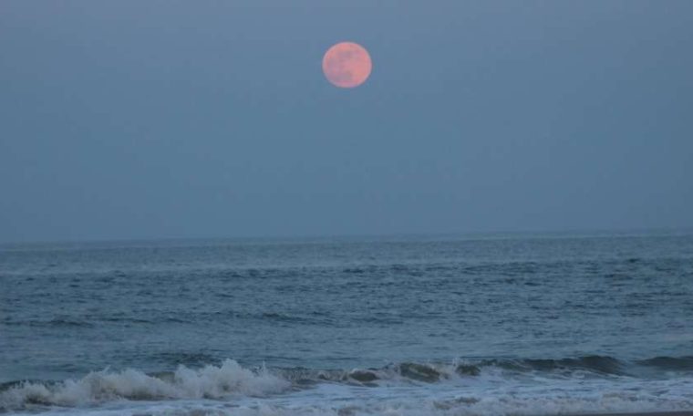 The Strawberry Moon is visible in the sky this Tuesday (14);  Know what time it starts - Science
