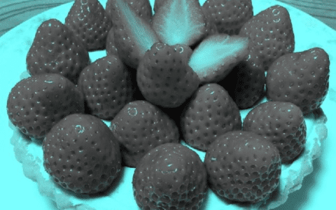 This strawberry optical illusion haunts the internet;  what color do you see?