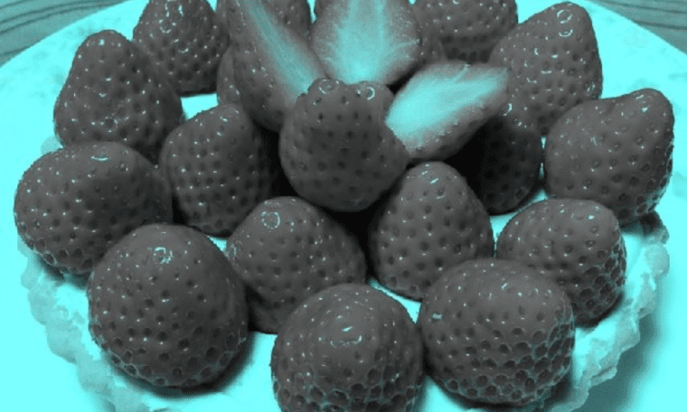 This strawberry optical illusion haunts the internet;  what color do you see?