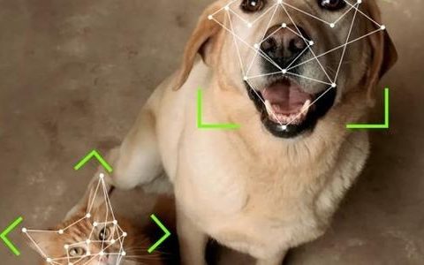 Company launches door with facial recognition for cats and dogs
