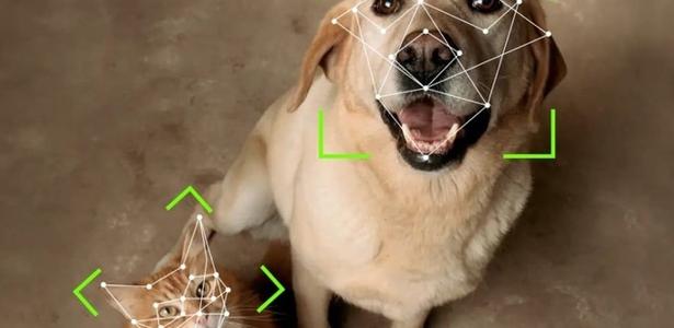 Company launches door with facial recognition for cats and dogs