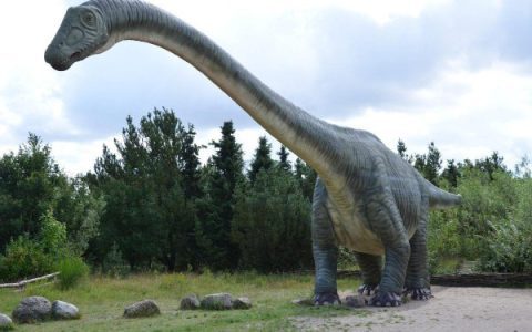 5 Bizarre Creatures That Lived With Dinosaurs
