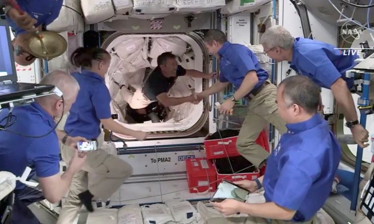 Astronaut study reveals effects of space travel on human body  Health