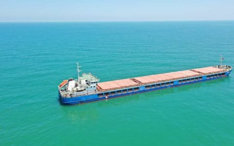 Cargo with Ukrainian grain enters Russian waters